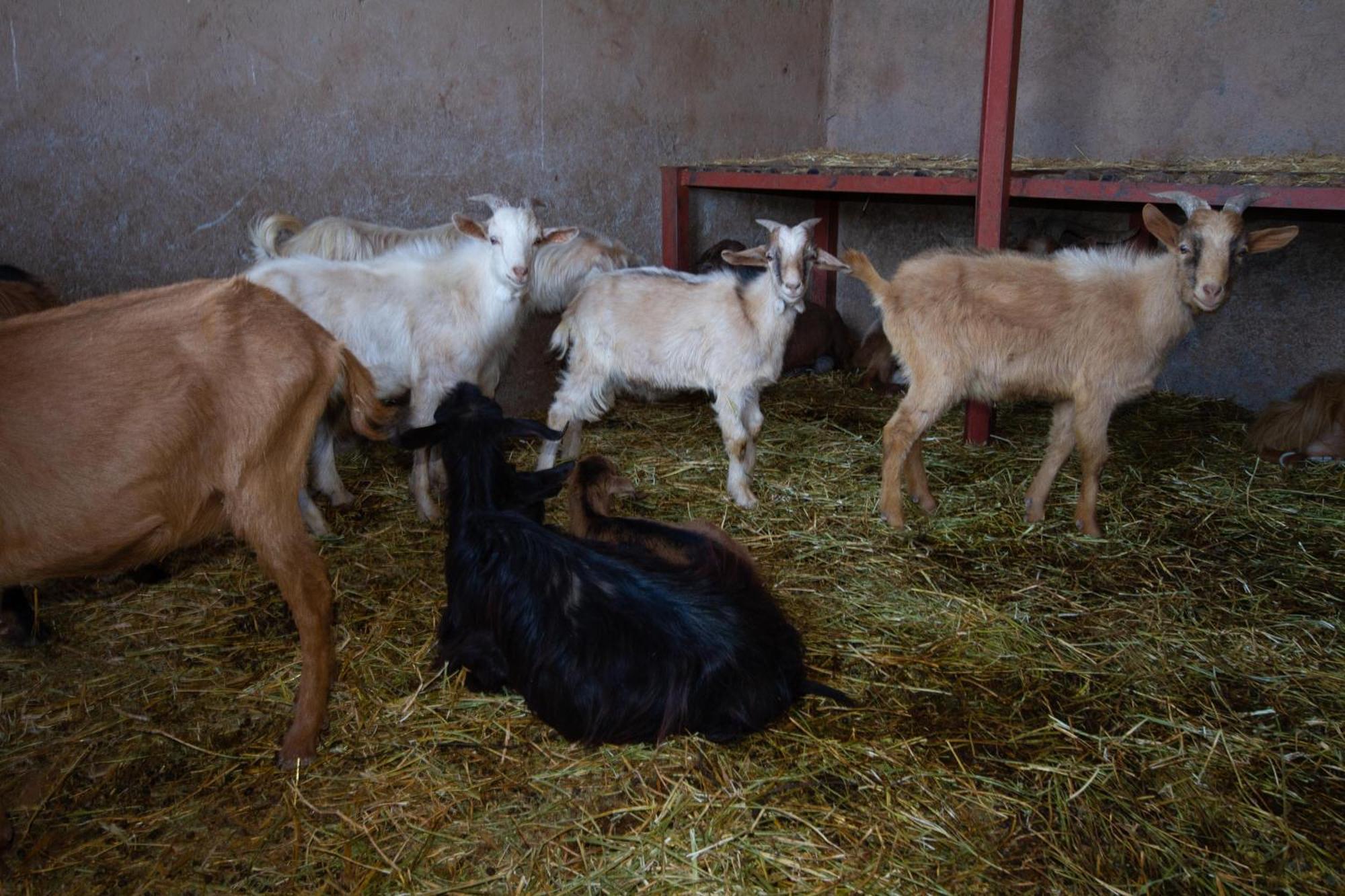 La Ferme De Lalladom แทมสลูท ภายนอก รูปภาพ