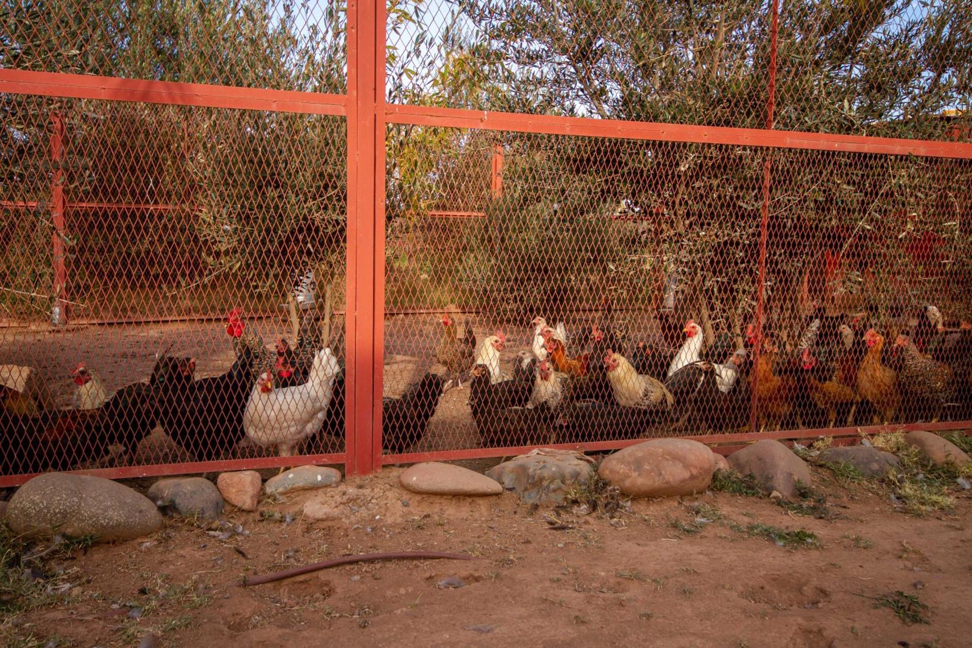 La Ferme De Lalladom แทมสลูท ภายนอก รูปภาพ